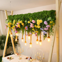 Creative Camp Party Table Plant Bar Chandelier High Atmosphere Lighting Sun Room Restaurant Homestay Decorative Lighting