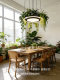 Creative Circular Plant Lights for Guesthouses, Western Restaurants, Leisure Areas, Shops, Southeast Asian Offices, Sunrooms, and Forest-Style Pendant Lights