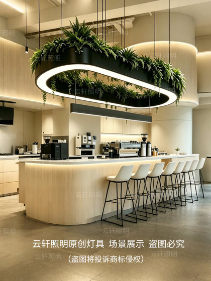 Bar Counter Pendant Light with Oval Aperture, Plant Light, Coffee Shop Front Desk, Shop, Restaurant, Leisure Area, Pantry Lighting Fixtures