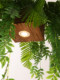 Card seat chandelier creative plant chandelier restaurant dining table hot pot shop coffee shop forest Southeast Asian green plant chandelier