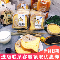 Jimanbed millet black rice Whole grain toast No sandwich whole box 4 pounds breakfast cake Low-calorie bread Pure toast