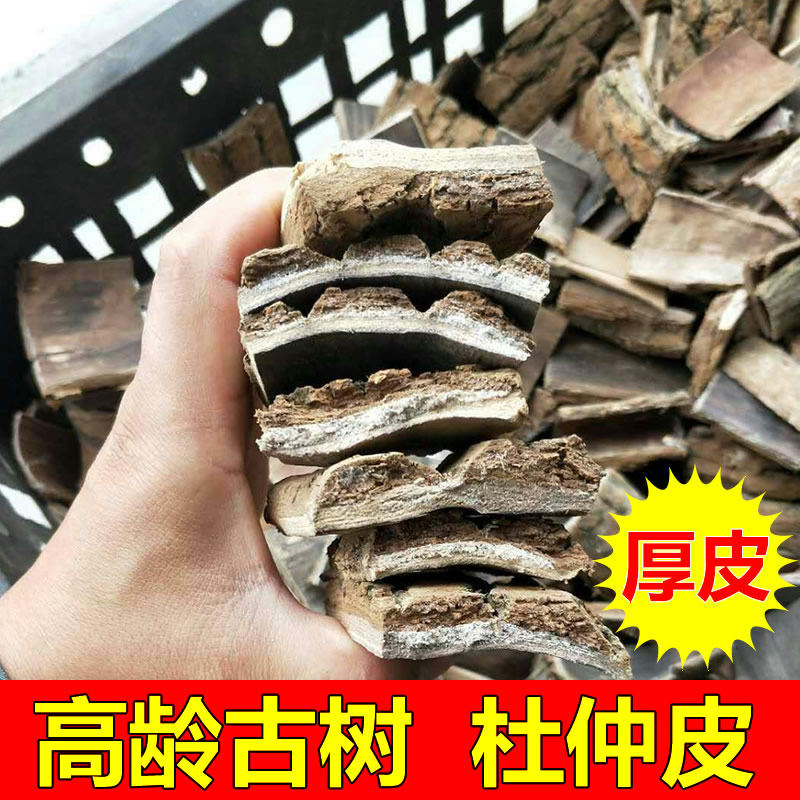 湖南张家界特产野生杜仲皮:500g古树老树厚皮,泡茶煲汤养生佳品!-杜仲-淘宝好物网