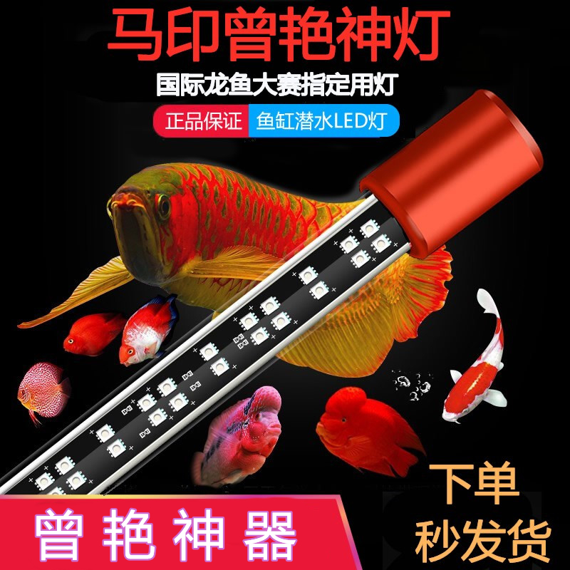 Ma Yin magic lamp tri-color waterproof diving lamp Jinlong red dragon fish brightening lamp T5 aquarium fish tank lighting LED lamp