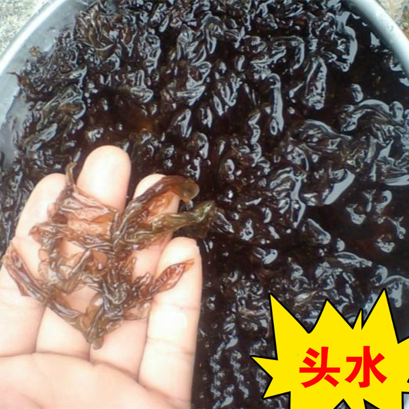 Head water seaweed 100g premium sand-free leave-in-place salt-free natural bulk seaweed wild dry goods Weihai specialty