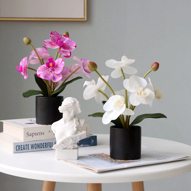 Nordic Hand Feel Butterfly Orchid Potted Fake Flowers Simulation Flower Pendulum Pieces Living-room Bathroom Front Desk Tabletop Furnishing Plastic Flowers