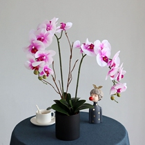 Moisturizing Butterfly Lan Fake Flower Emulation Flower Potted indoor Chinese living room Xuanguan tea table Decorative Pendulum suit