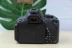 Máy ảnh kỹ thuật số STM của Canon / Canon 700D (18-15mm) phù hợp với nhiều loại máy ảnh DSLR - SLR kỹ thuật số chuyên nghiệp SLR kỹ thuật số chuyên nghiệp
