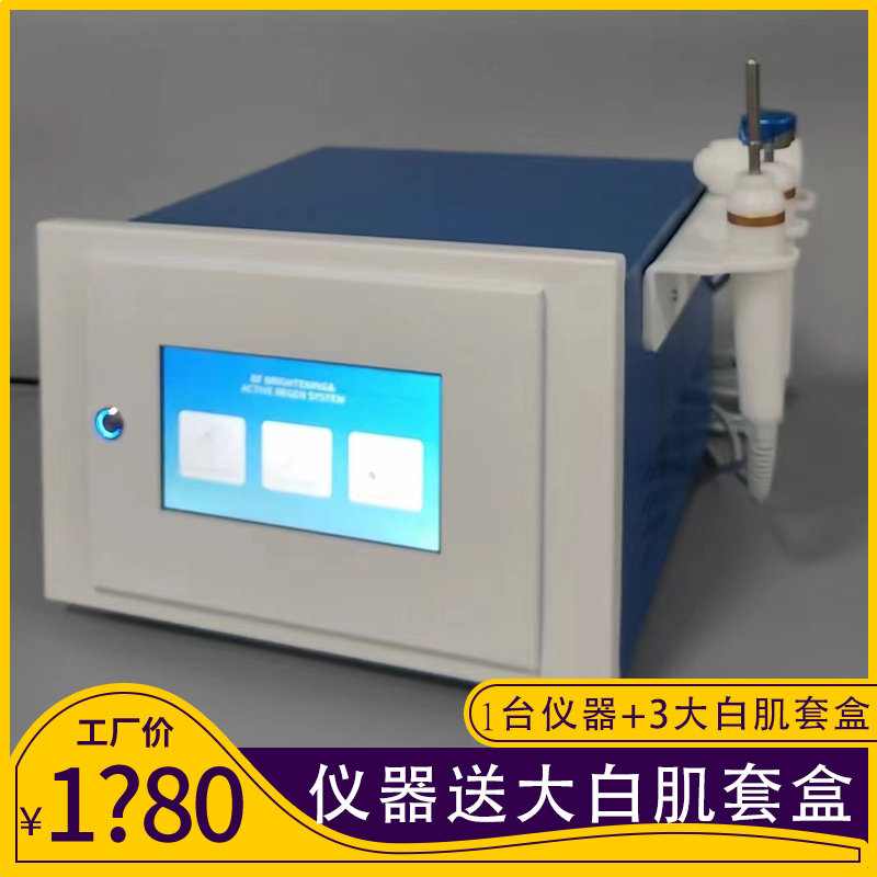 Big White Skin Beauty Instrument Microcurrent Electrophoresis Ion Skin Beauty Instrument Big White Skin Products Beauty Salon Kit
