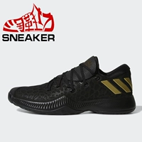 Adidas Harden B / E phiên bản giày bóng rổ nam chiến đấu AC7820 CG4193 CG4196 AC7819 giày bóng rổ anta
