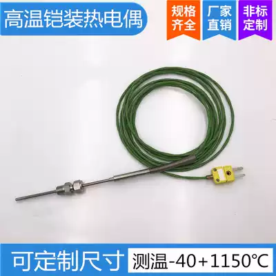 Armored thermocouple K-type diameter 3mm needle thermocouple temperature sensor high temperature resistance detection monitor