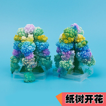 Christmas flowering tree excellent version of capillary phenomenon oversaturation experiment Childrens Technology small production DIY innovation experiment
