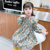 2020 new baby girl Autumn Dress 1-4 years old girl foreign style long sleeve fresh princess dress 5 children skirt