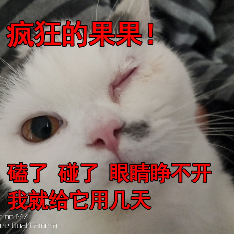 Mắt chó nhỏ mắt mèo cưng rơi nước mắt mắt nhiều mắt mèo không thể mở - Cat / Dog Health bổ sung sữa bột cho mèo