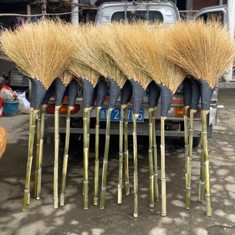 Golden Grass Broom Wenzhou Guanyin Grass Enlarged and Thickeneded School Yard Factory Sanitation Worker Cement Subway Broom