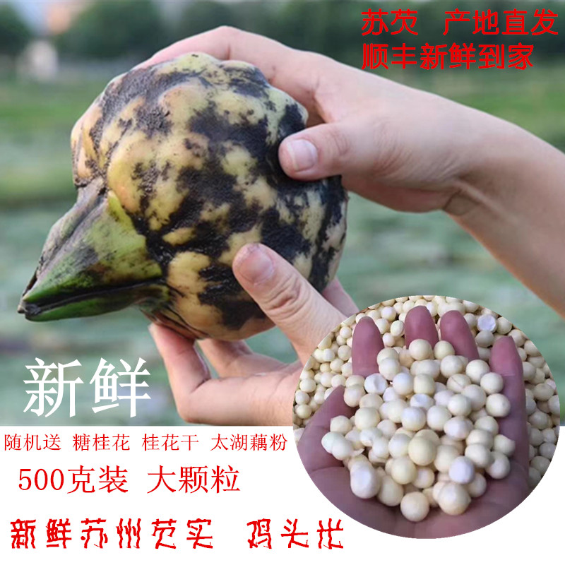 Mid-autumn National Day National Day 2021 Suzhou Chicken Head Rice Farmhouse Fresh euryale Real and Halves Hands Exfoliating Large Grain 500 gr Shunfeng