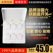 Baolan Opo PUQDP10216125 brand Yuba switch 16A power ventilation lamp warm blowing