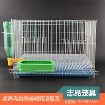 Rutin chicken breeding cage small egg quail cage family breeding chicken bird partridge pigeon parrot laying cage