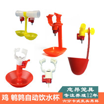 Zhiang Egg Chicken Broiler Chicken Quail Automatic Drinking Water Hanging Cup Integrated Water Cup Water Nozzle Nipple 6 Sub-PVC pipe Choke Plug