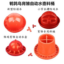 Zhiang Breeding Bird Quail Small Chicken Birds Pet Flock Birds Breeding automatic Drinking Water Drinking Water Drinking Water Drinking and Incubation Barrels