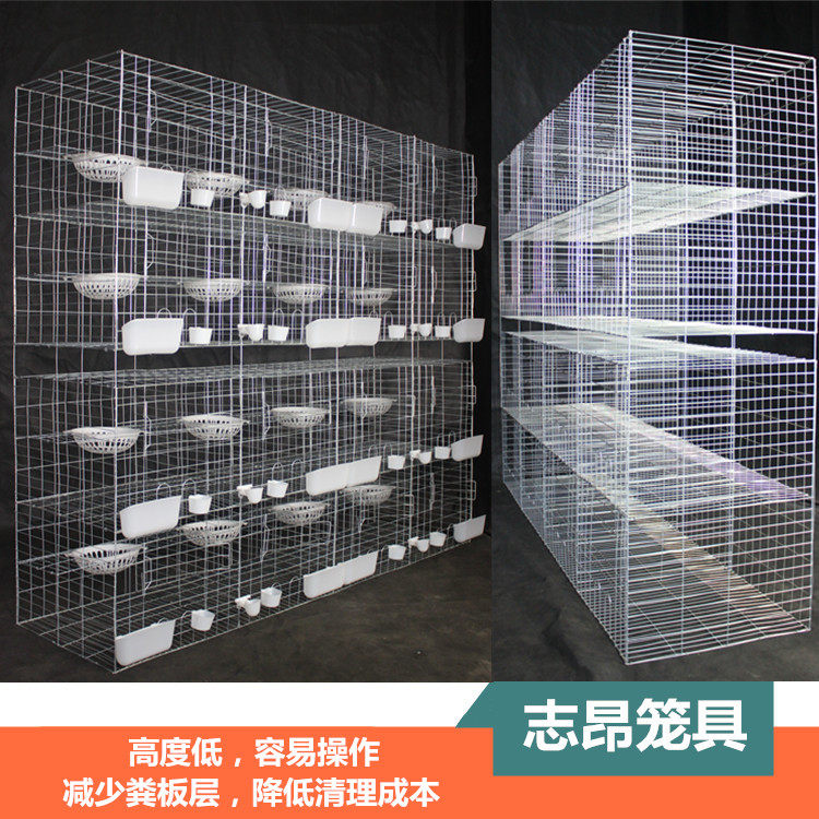 Zhiang New Pint Pigeon Cage Pairing Cage 1 35 m Manure Free Plate Layer Pigeon Cage and 1 6 m high plus coarse 16 cage dove cage