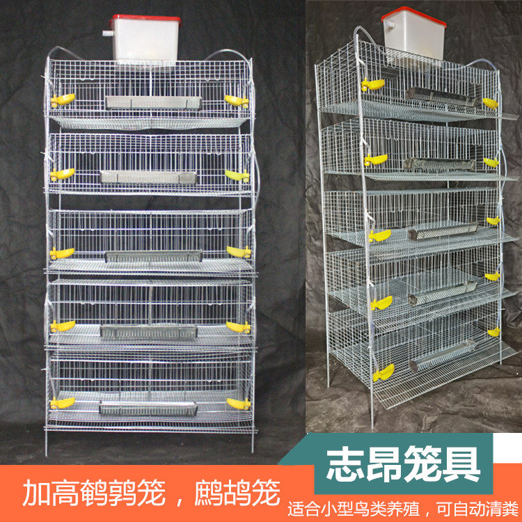 Zhion new product raised three-dimensional quail cage partridge cage can automatically clear manure multi-layer breeding cage