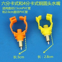 Zhiang Rabbit Rex Rabbit Hare Meat Rabbit Long Hair White Rabbit Automatic Drinker 6-point 4-point Card Copper Round Head Mouth