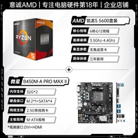 R5 5600 Boxed+MSI B450M-A Pro Max ⅱ (2,5 г сетевой карты)