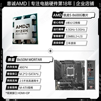 R5 8600G Lose Chip + MSI B650M