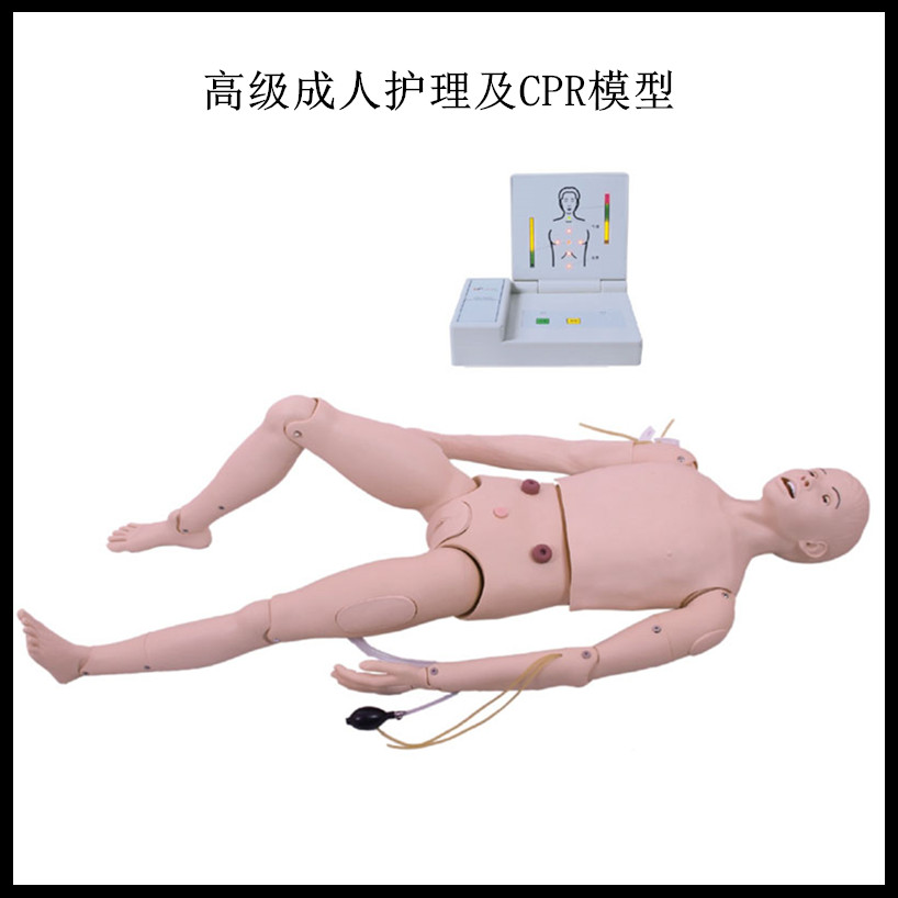 高级成人护理及CPR模型人心肺复苏急救操作护理训练模拟人体模型