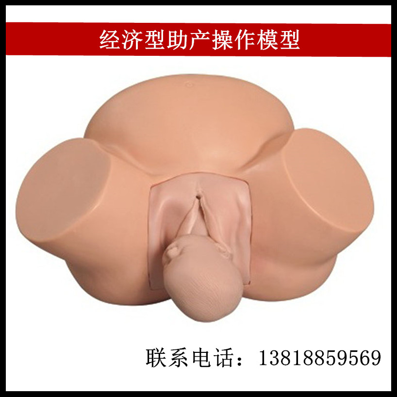 经济型助产操作模型