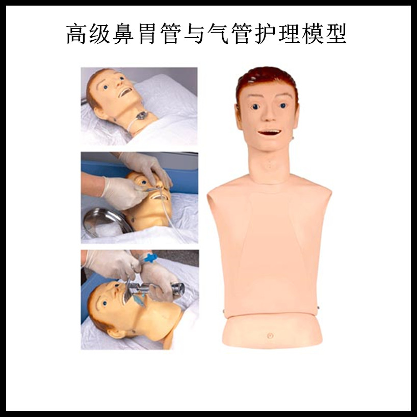 高级鼻胃管与气管护理模型 鼻胃管护理模型 鼻饲模型 护理教学