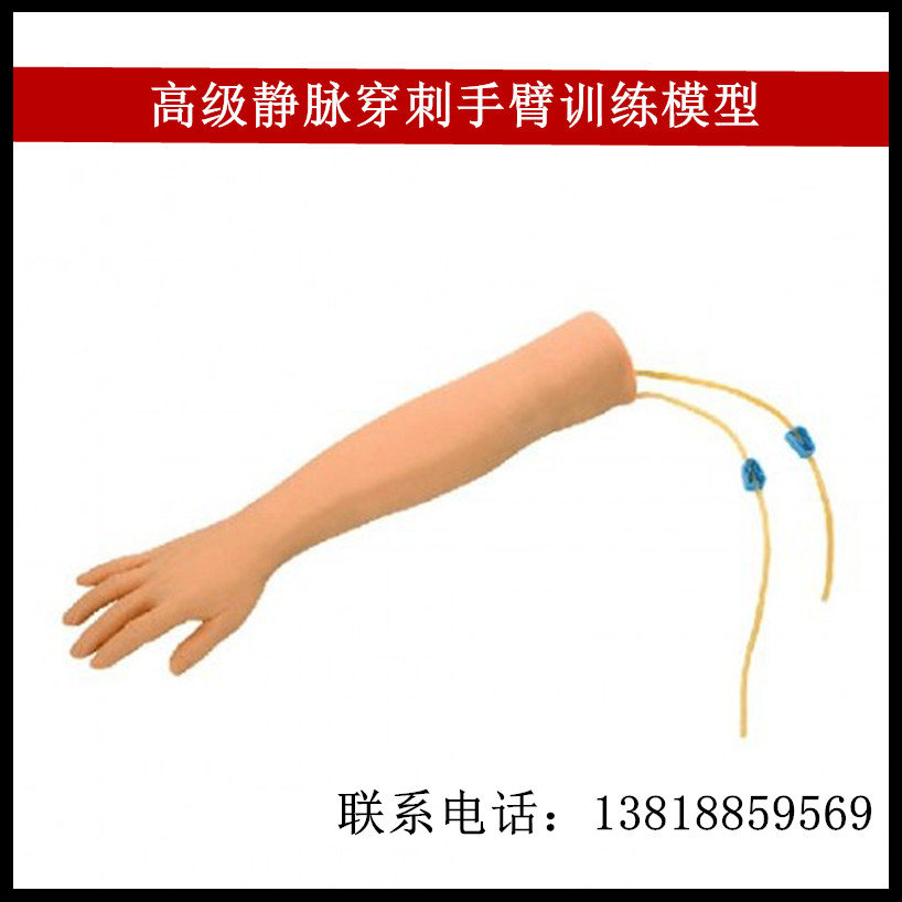 高级静脉穿刺手臂训练模型肌肉注射输液抽血 护士实习扎针培教学