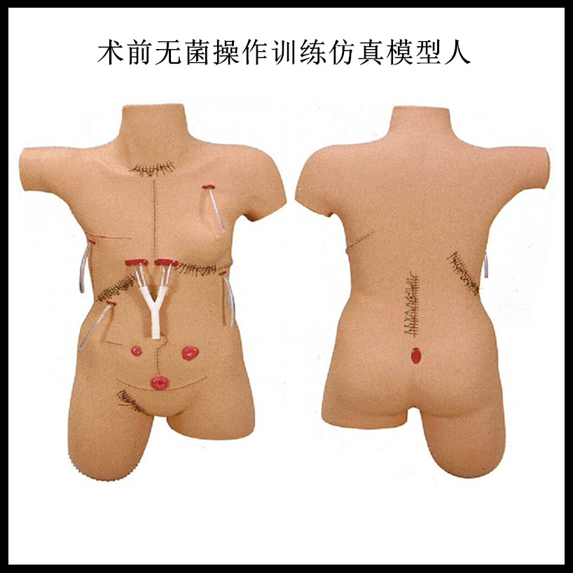 术前无菌操作训练仿真模型人