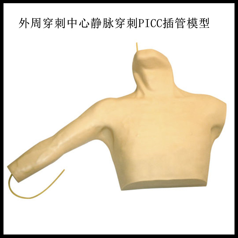 外周穿刺中心静脉穿刺插管模型 PICC插管模型