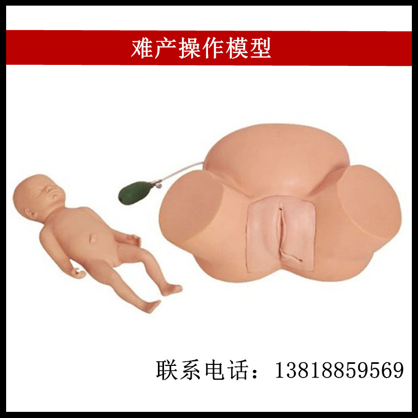 难产操作模型