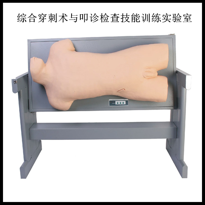 综合穿刺术与叩诊检查技能训练实验室