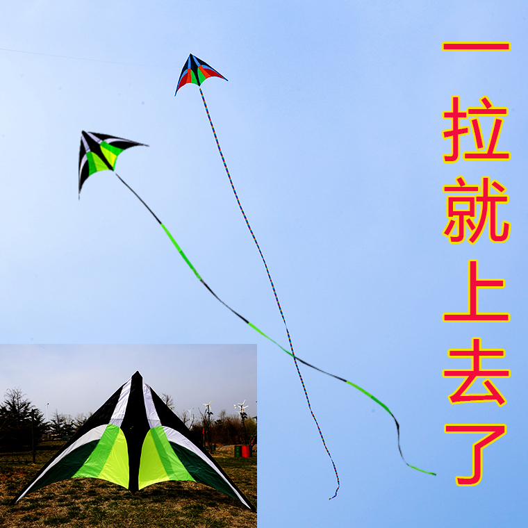 Kites easy to take off stable colorful parrot kites into the National People's Congress Kite Children Kite Large Long Tail Kite-Taobao