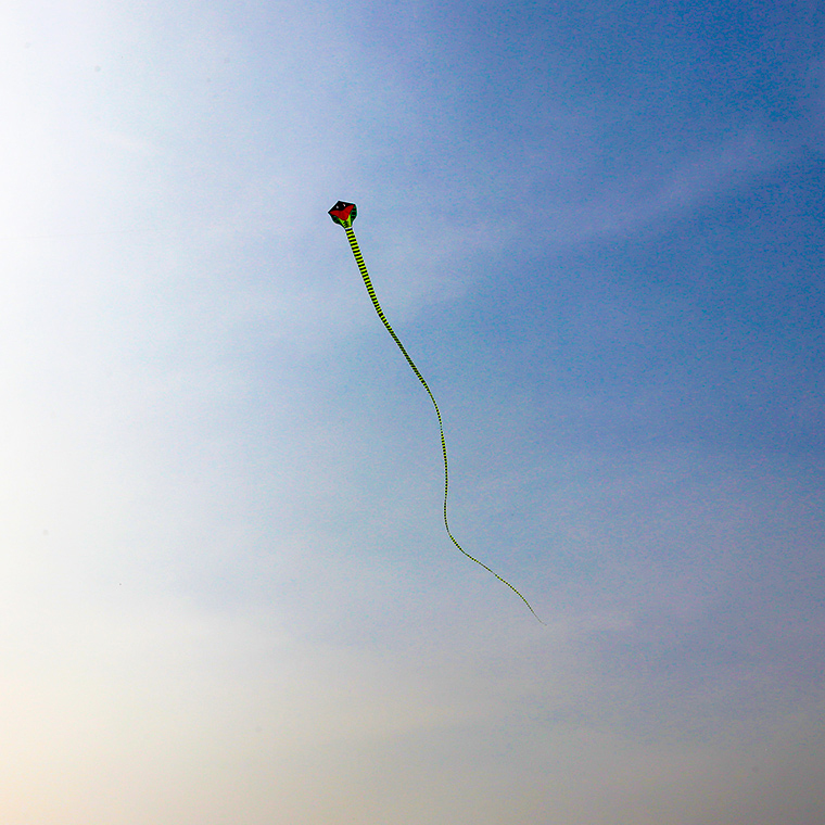 Long Snake Green Snake Kite Large Kite 12 15 22 22 33 m Hard Umbrella Cloth Children Adult Kite