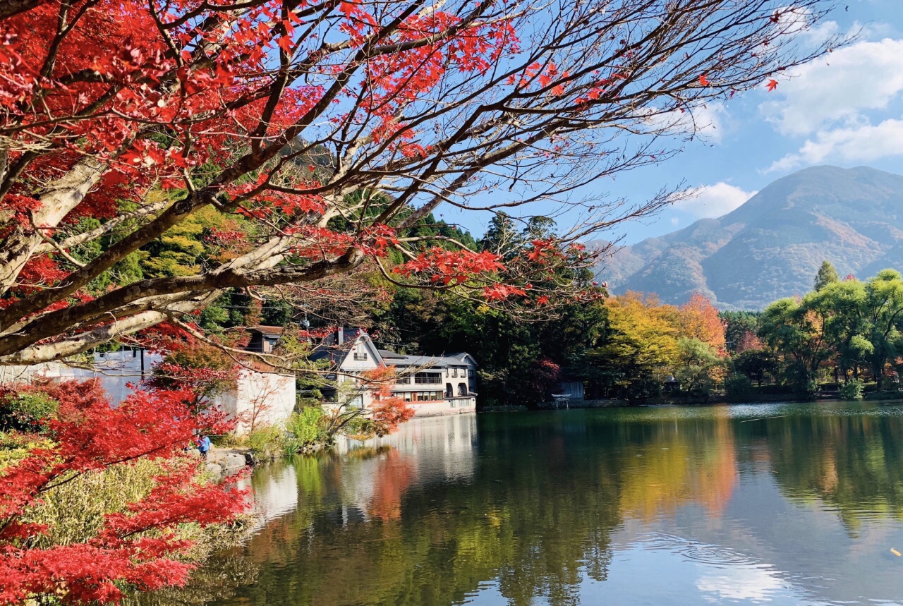 日本九州5天4夜自驾游，非常难忘的旅行98