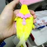 2023 Попугающая веревка Новый модернизированный цветовой металл Регулирующий прялее