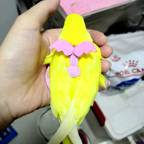 2023 Попугающая веревка Новый модернизированный цветовой металл Регулирующий прялее