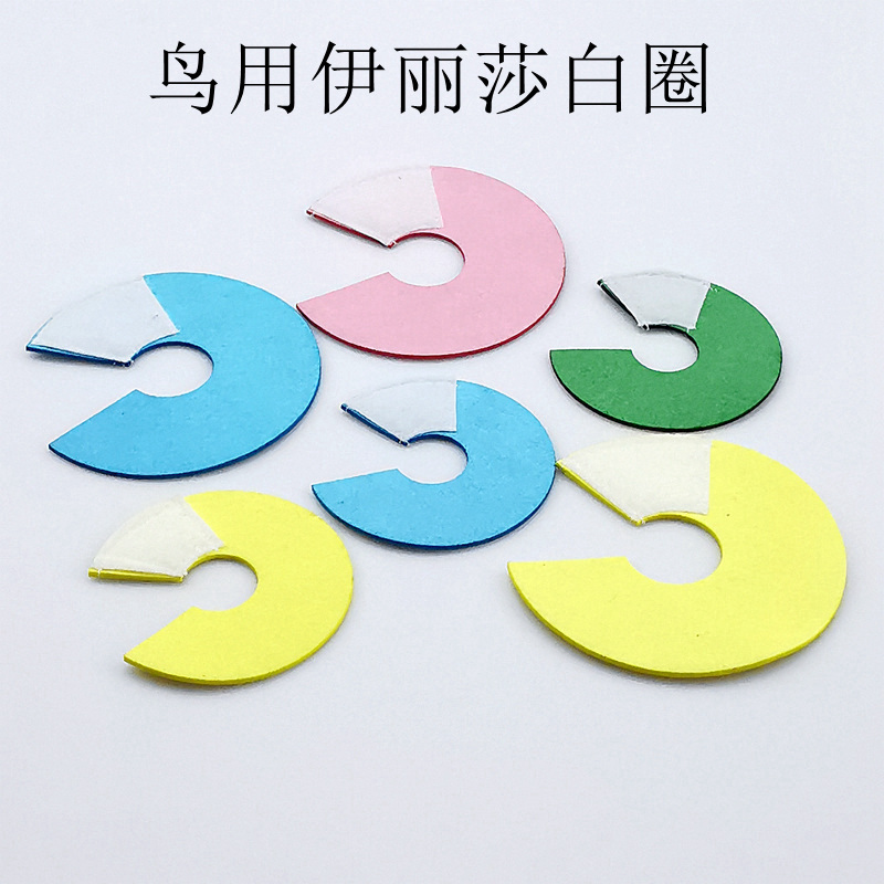 Elizabethan Collar for Birds, Cockatiels, Lovebirds, Anti-Bite Neck Collar, Neck Protector, Injury Protection Cover