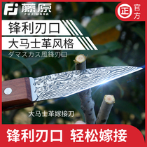 Fujiwara grafting knife Flowers trees fruit trees saplings thick branches tied branches pruning knives wood cutting knives steel budding knives gardening tools