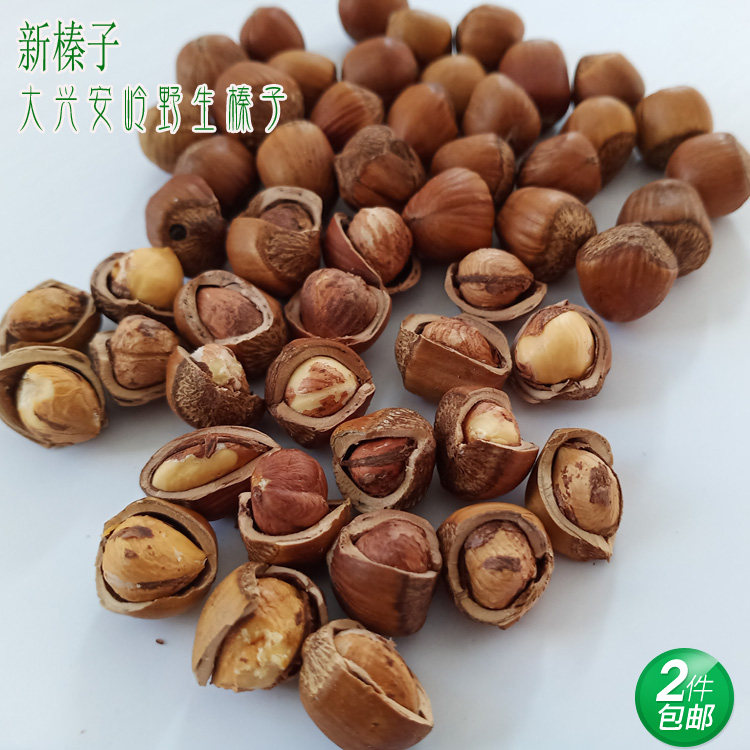 New Cargo Northeast Wild Little Hazelnut Daxing Anling Original Taste Hazelnut Snacks Nuts 500 gr Water Drain Hazelnut