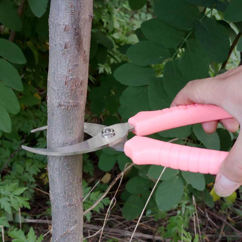 New fruit tree ring cutting shears ring peeling knife jujube tree ring peeling knife ring peeler ring branch shear gardening ring cutting tool