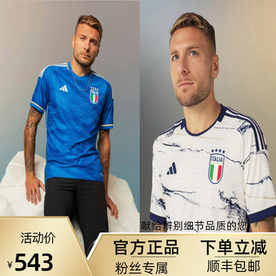 taobao agent 2324 European Cup pre -election Italian home jersey fans version of Kieza away Barrera Johnio