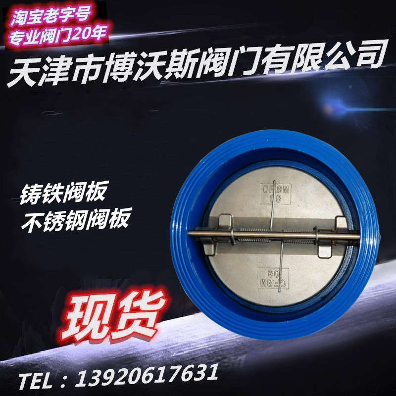 Pair of clip check valves D77X-10116 cast iron dished check valve DN40 DN50 65 80100125