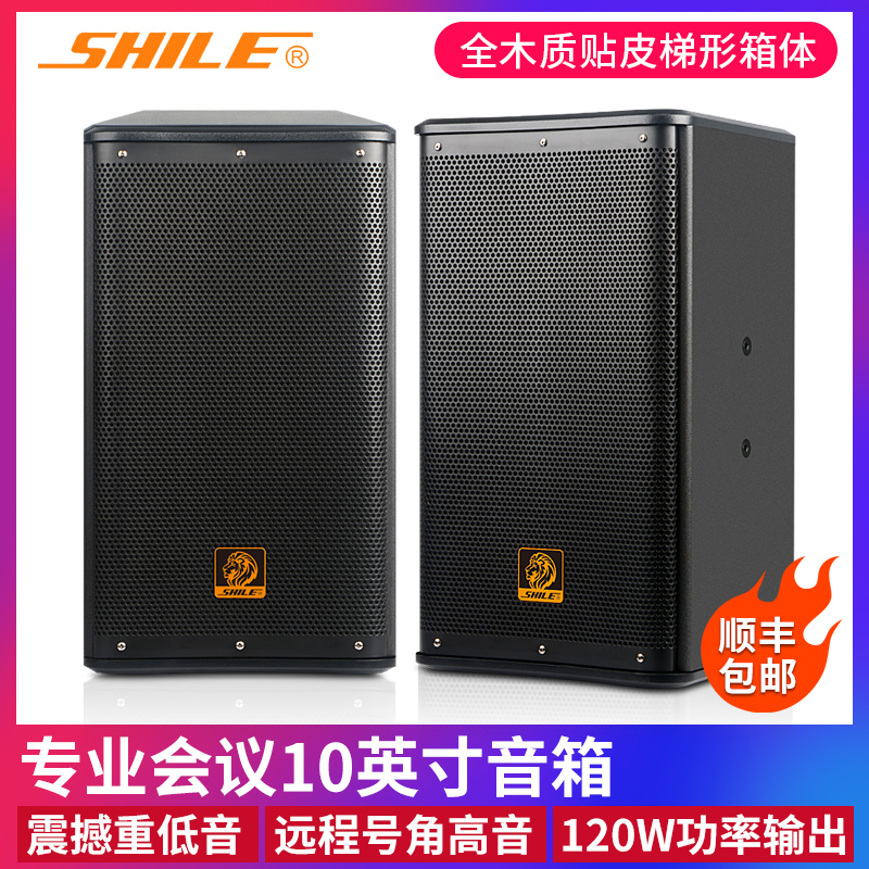 Lion Music BX-110 Professional 10 Inch Conference Room KTV Stage Performance High Power Speaker