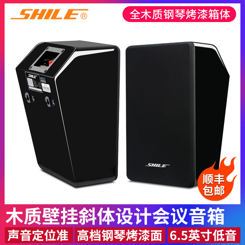 Lion Music BG-6 Professional Conference Room Training Background Music High-end Wall-mounted Speaker