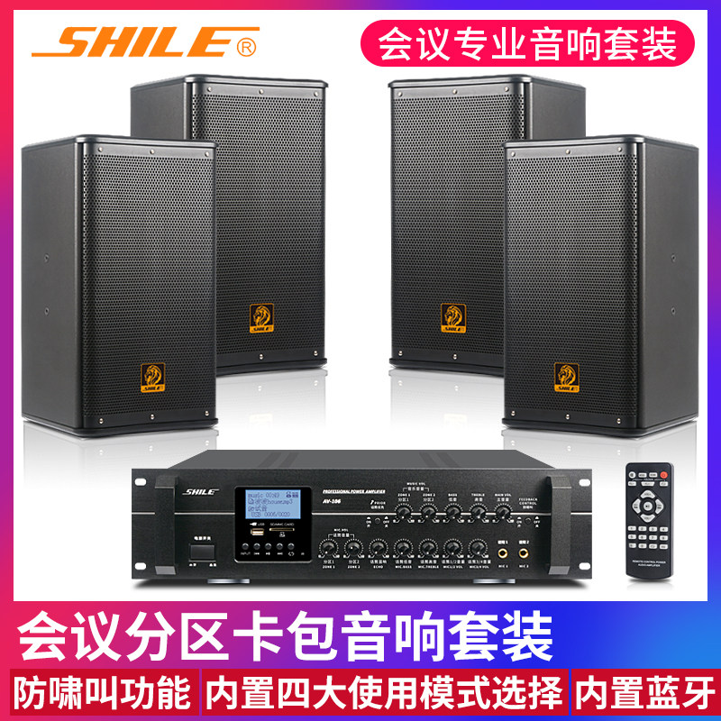 Lion Music professional conference room audio combination set amplifier background music shop classroom speaker AV106 110